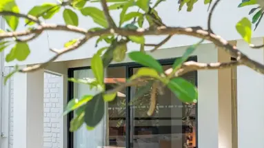 Club Hotel Dolphin