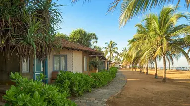 Club Hotel Dolphin
