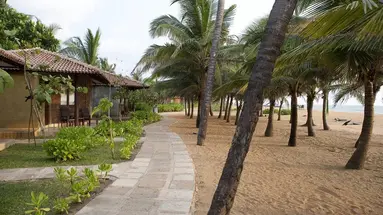 Club Hotel Dolphin