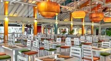 Club Hotel Dolphin