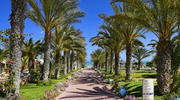 Club Hotel Palm Azur