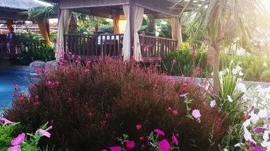 Club Mermaid Village