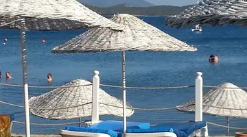 Club Muskebi