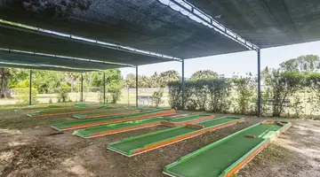 Club Muskebi