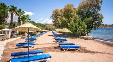 Club Muskebi