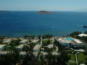 Club Muskebi