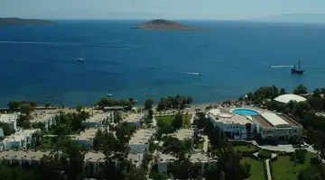 Club Muskebi