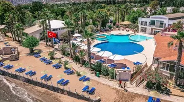 Club Muskebi
