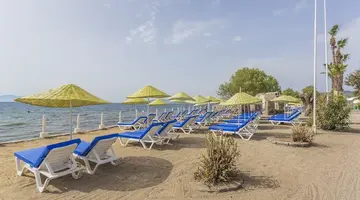 Club Muskebi