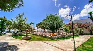 Club Muskebi