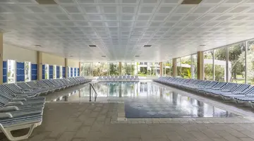 Club Muskebi