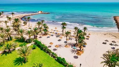 CLUB PALM AZUR