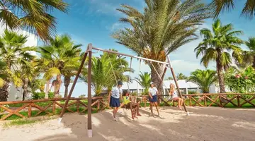 CLUB PALM AZUR