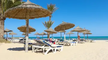 CLUB PALM AZUR