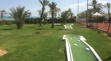 CLUB PALM AZUR