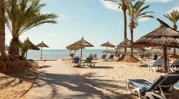 CLUB PALM AZUR
