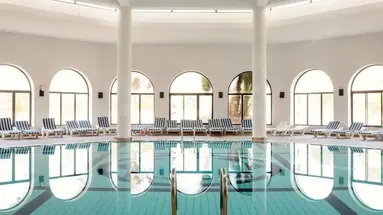 CLUB PALM AZUR