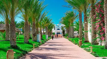 Club Palm Azur