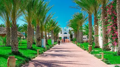 Club Palm Azur