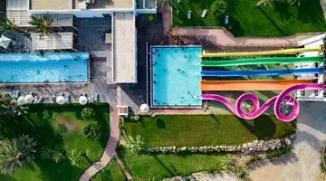 CLUB PALM AZUR