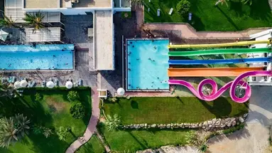 CLUB PALM AZUR