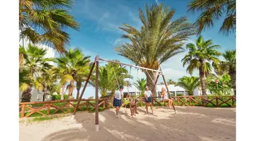 CLUB PALM AZUR