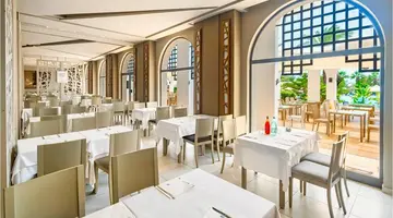 CLUB PALM AZUR