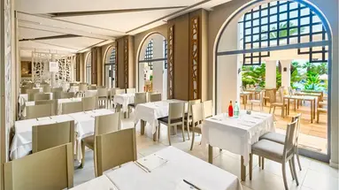 CLUB PALM AZUR