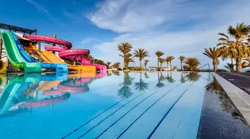 CLUB PALM AZUR