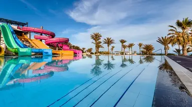 CLUB PALM AZUR
