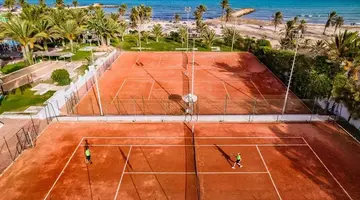 CLUB PALM AZUR