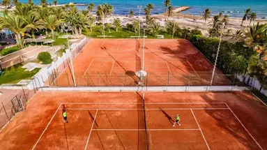 CLUB PALM AZUR