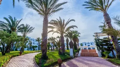 CLUB PALM AZUR