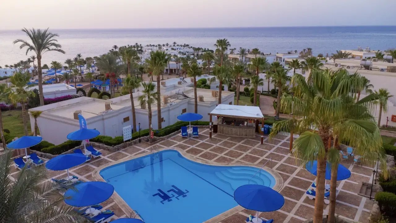 Club Reef