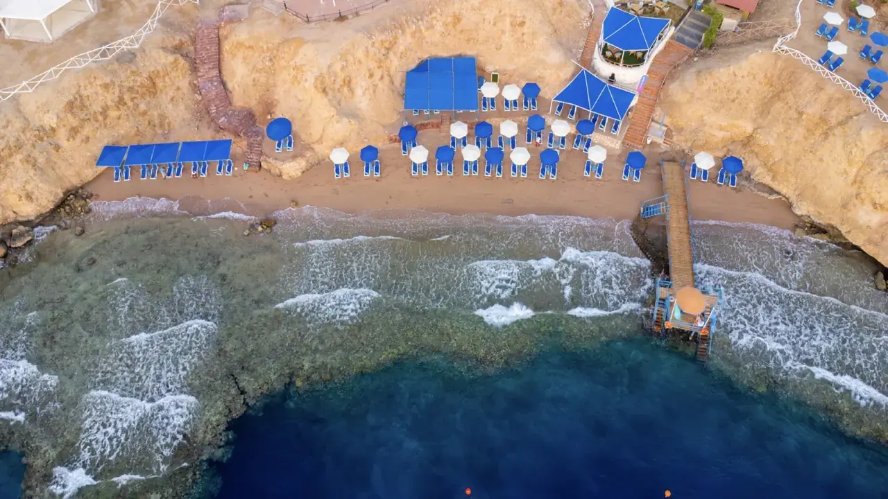 Club Reef