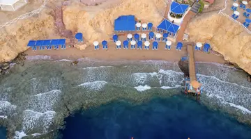 Club Reef