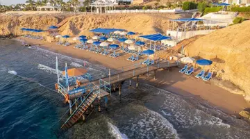 Club Reef