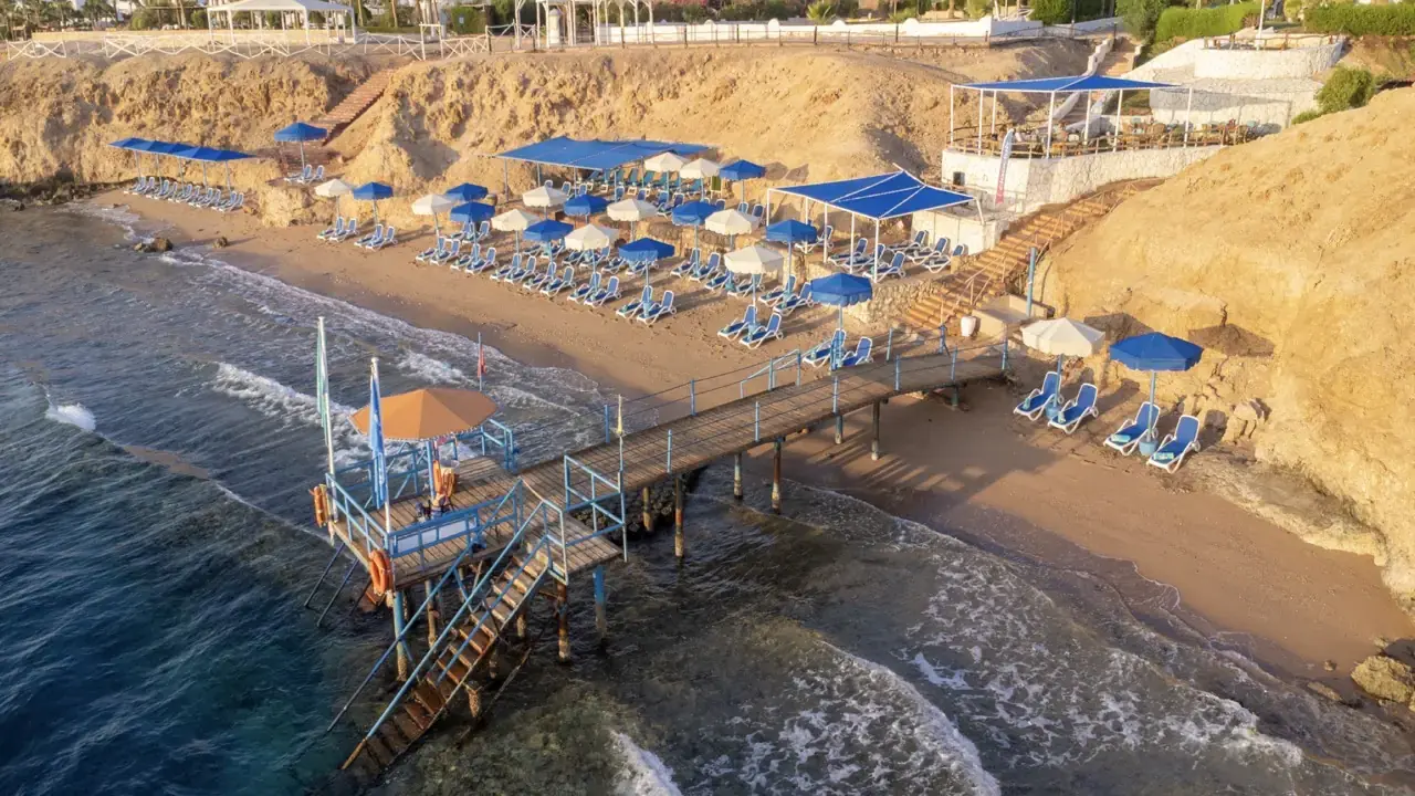 Club Reef
