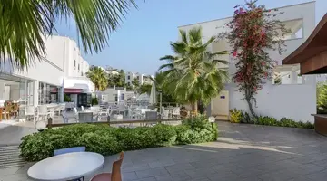Club Shark Hotel
