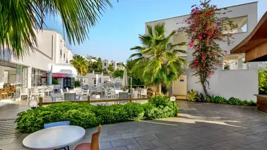 Club Shark Hotel