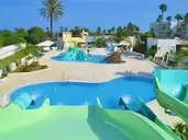 Club Tropicana