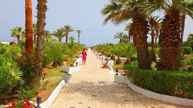 Club Tropicana