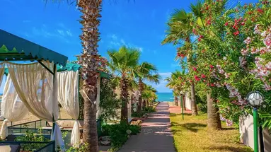 CLUB WASA HOLIDAY VILLAGE