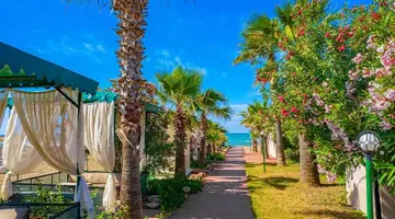 Club Wasa Holiday Village
