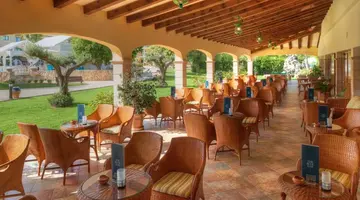 CM MALLORCA PALACE (ADULTS ONLY 16+)