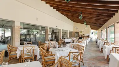CM MALLORCA PALACE (ADULTS ONLY 16+)