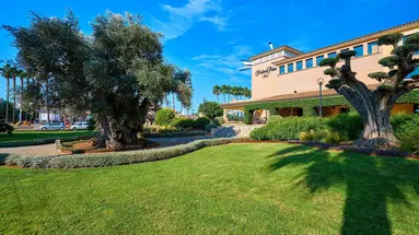 CM Mallorca Palace