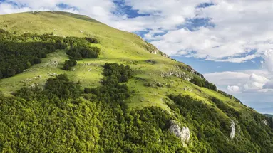 Co nas łączy, co nas dzieli
