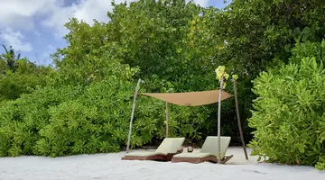 COCO BODU HITHI