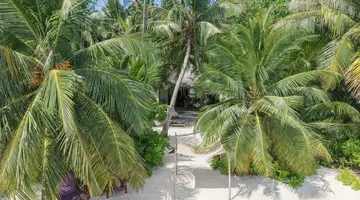 COCO BODU HITHI
